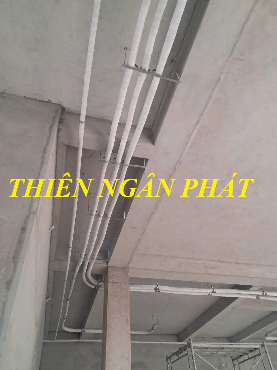 M&Aacute;Y LẠNH THI&Ecirc;N NG&Acirc;N PH&Aacute;T